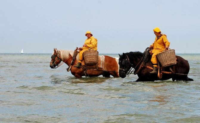 Garnalenvissers in Oostduinkerke aan het werk