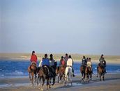  Vakantiepark de Banjaard Noordzee Roompot