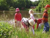  Vakantiepark Klein Vink Roompot