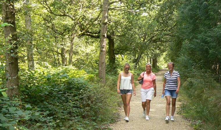 Vakantiehuis Ardennen Sy