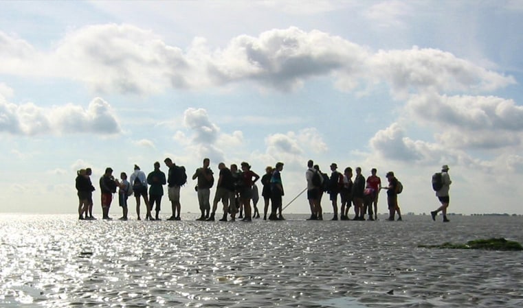 Wadlopen