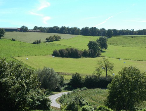 Vakantiehuizen Limburg 4,6 en 8 personen