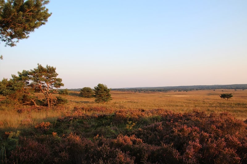 Vakantiehuis-10-personen-Veluwe