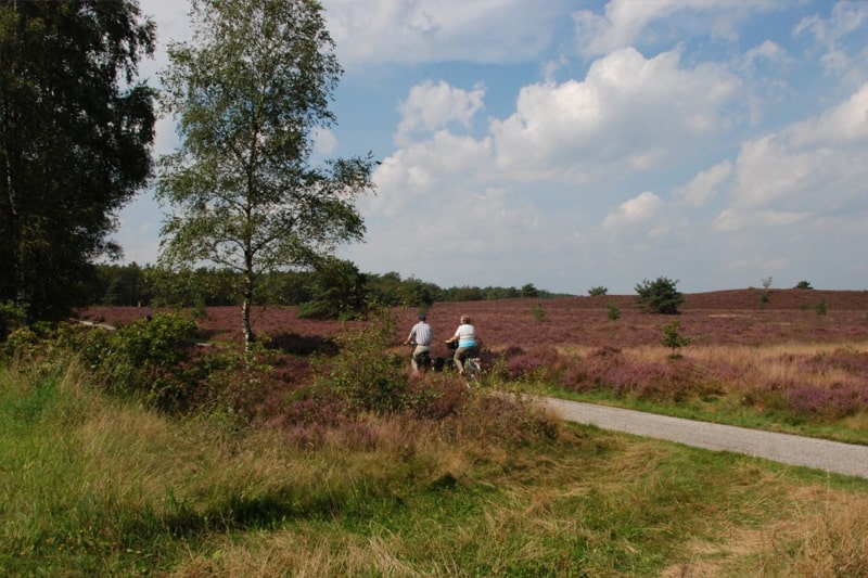 Vakantiehuis-17-personen-Veluwe