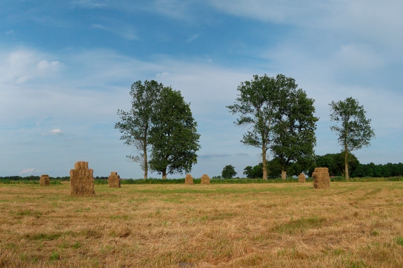 Vakantieboerderij-Drenthe