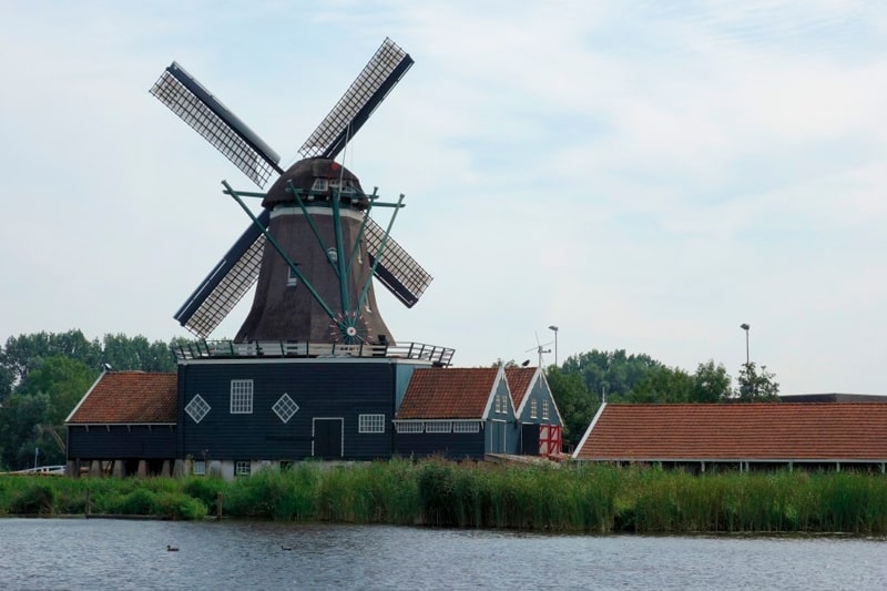 Vakantieboerderij-Friesland